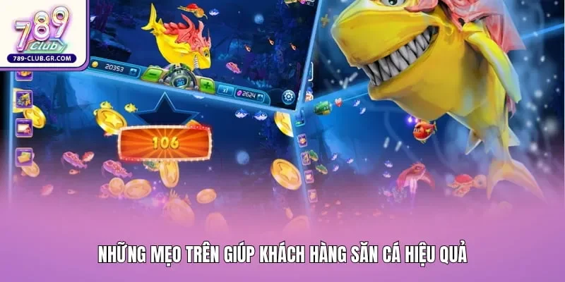 Những mẹo trên giúp khách hàng săn cá hiệu quả