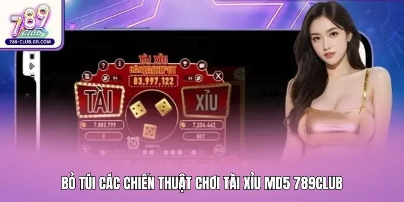 Bỏ túi các chiến thuật chơi tài xỉu MD5 789club Bỏ túi các chiến thuật chơi tài xỉu MD5 789club