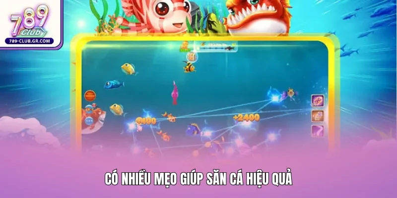 Có nhiều mẹo giúp săn cá hiệu quả
